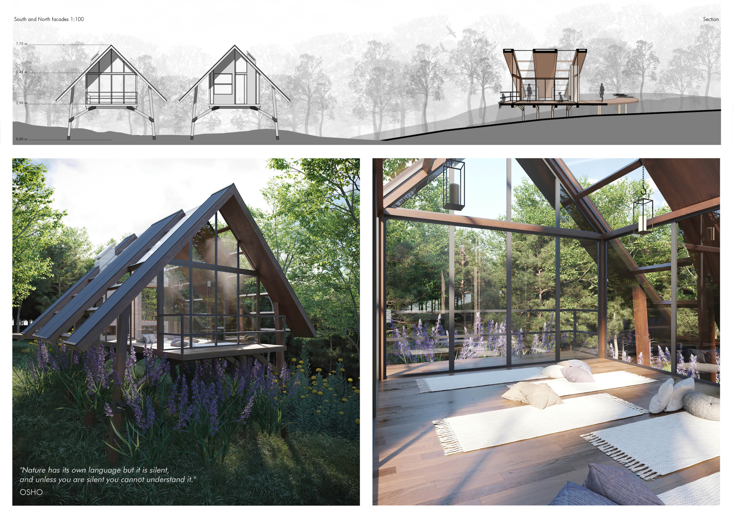Architecture project // Floating Glass Structure Embracing Natural Wood ...
