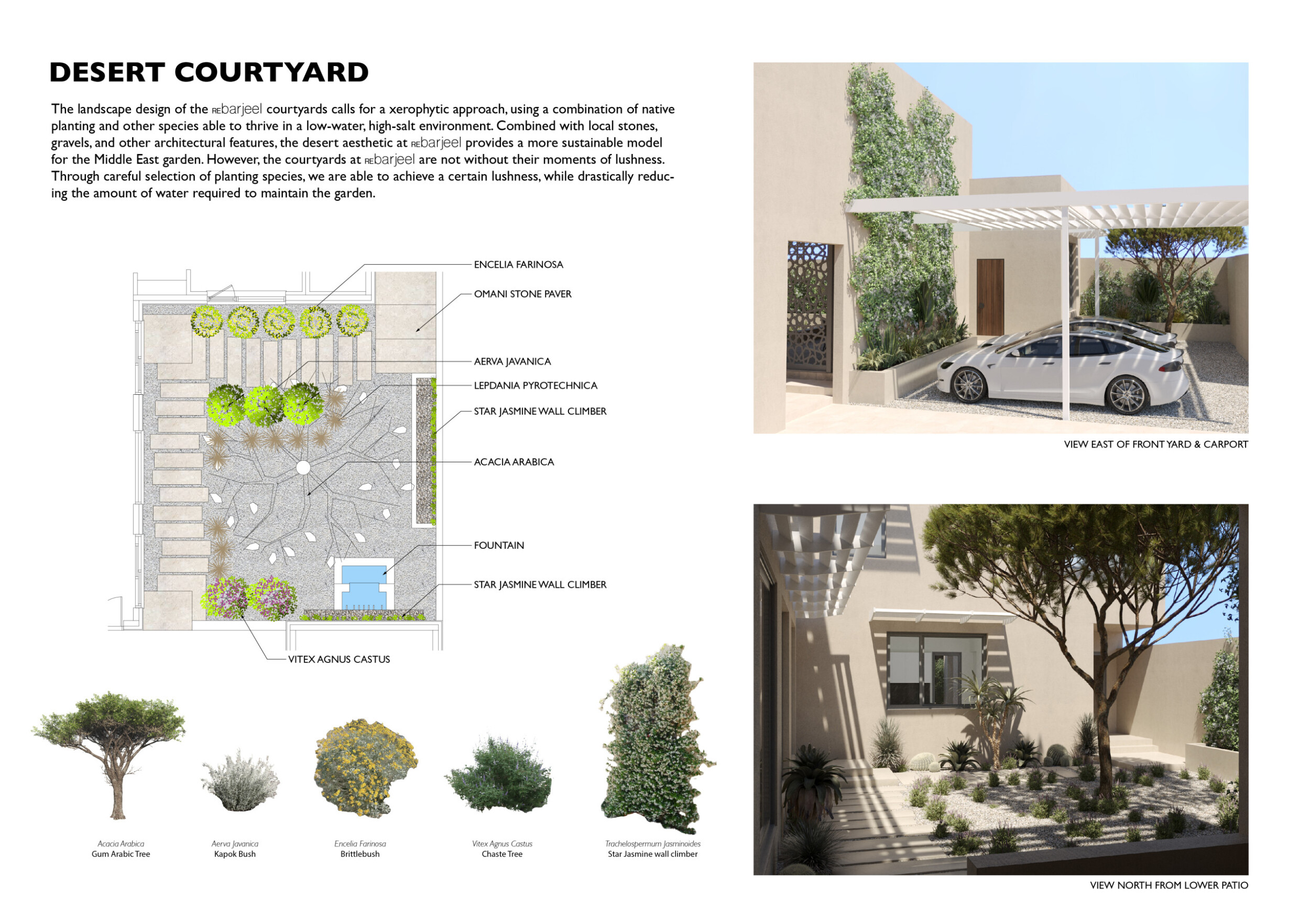 Architecture project // Natural Ventilation and Omani Stone in a ...