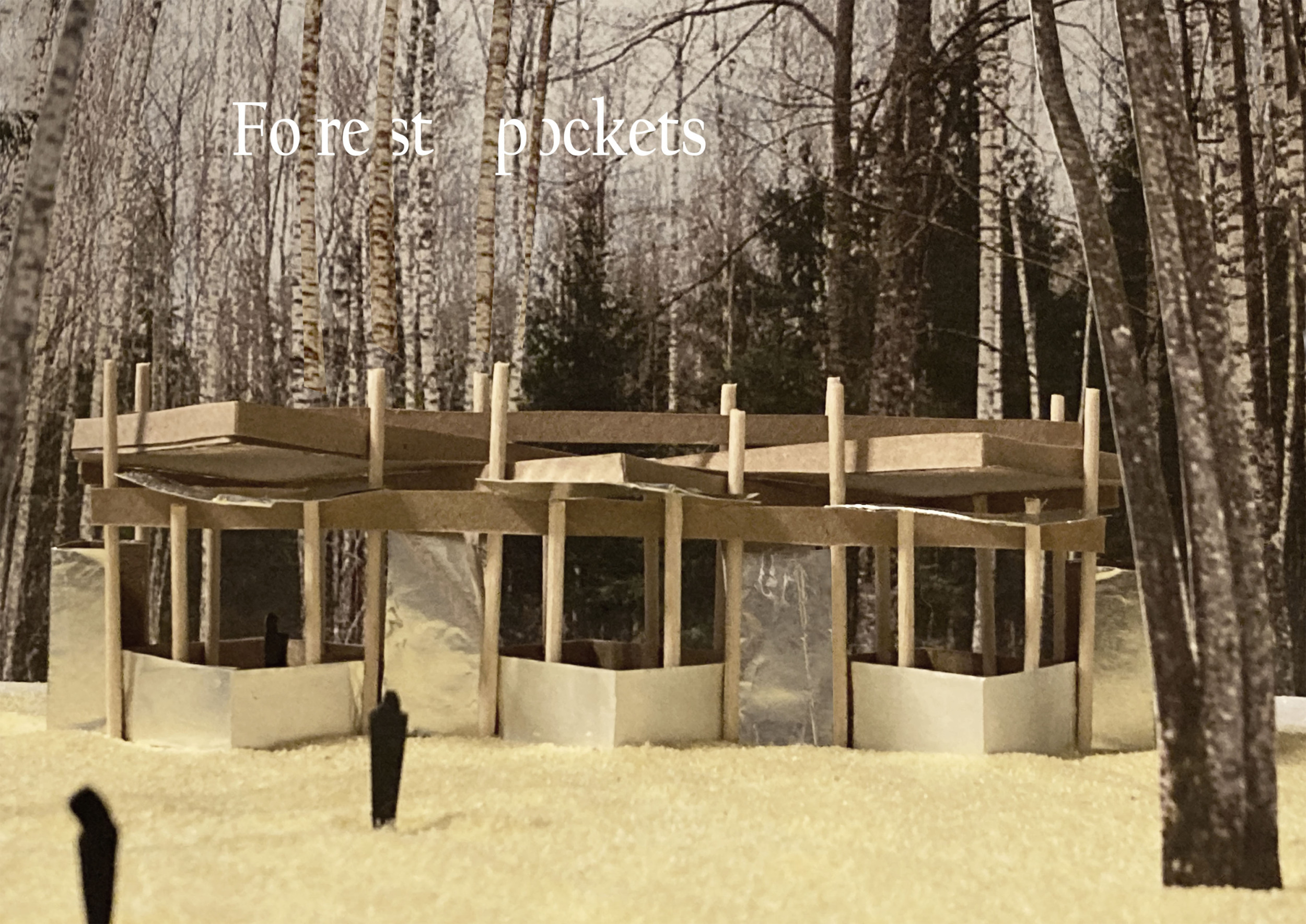 Architecture project // Round Columns and Zig-Zag Roof in a Forest Food ...