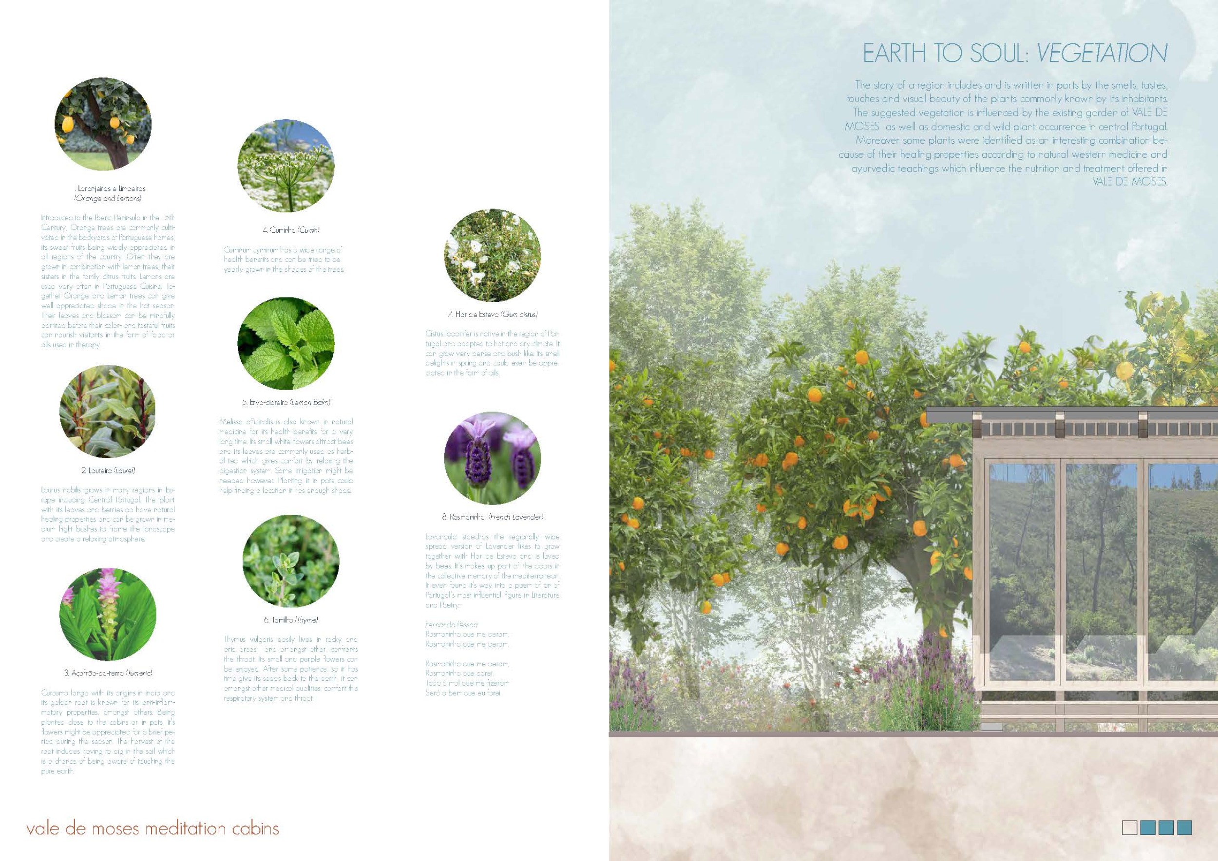 Integration Withnature Architecture projects - nature // Buildner