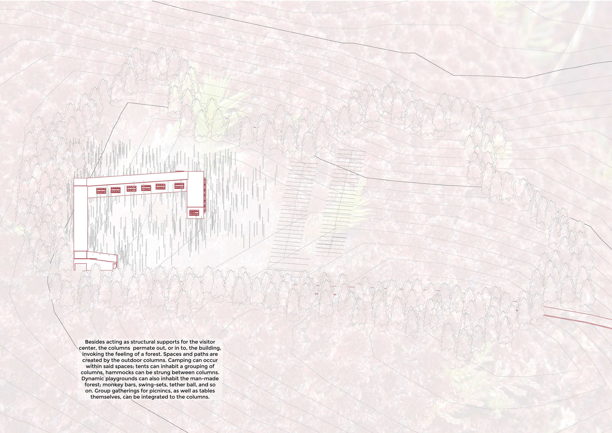 Project Bog Architecture project // Thatch-Covered Nature Center Elevated Above a ...