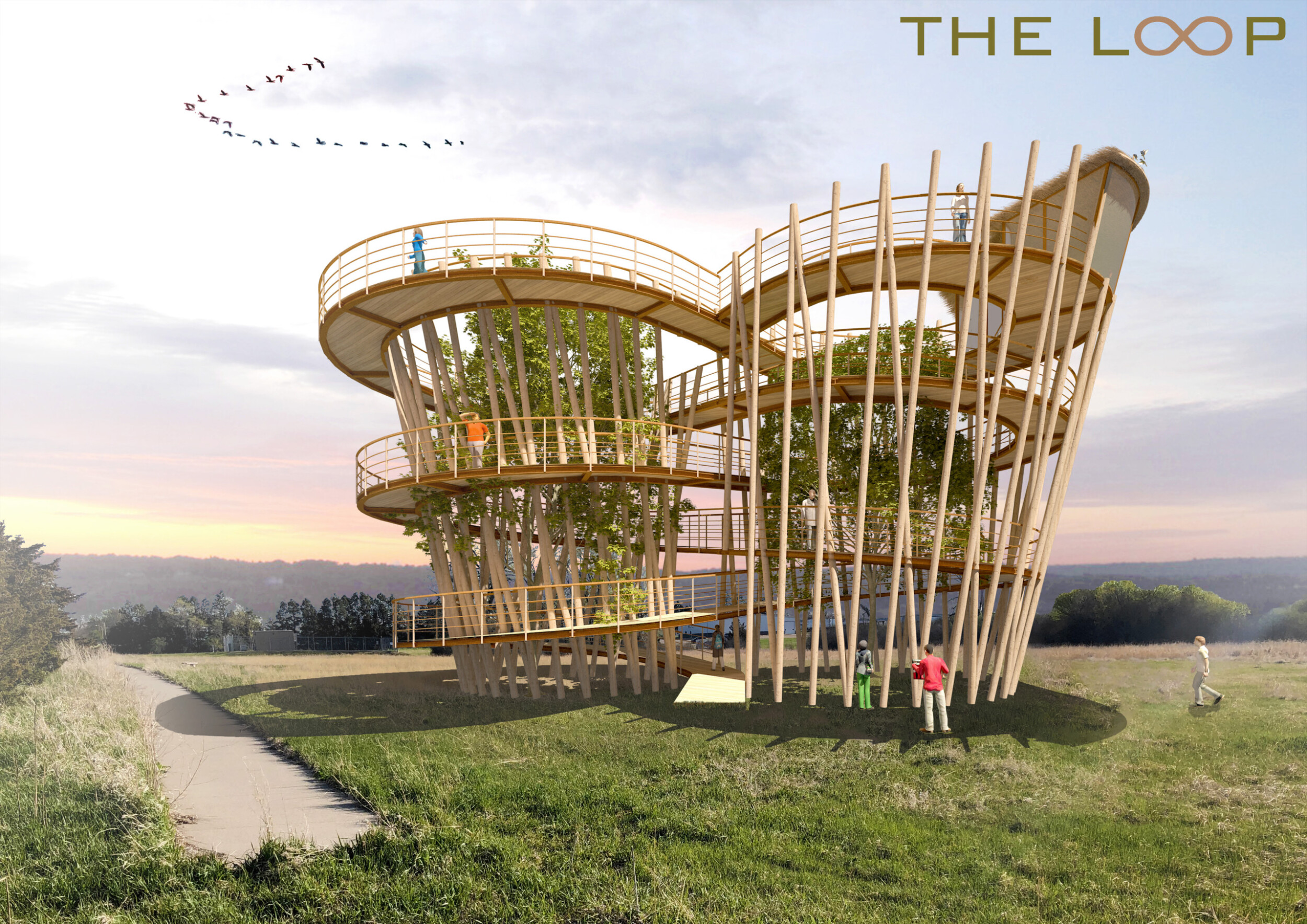 Architecture projects - organic aesthetics // Buildner