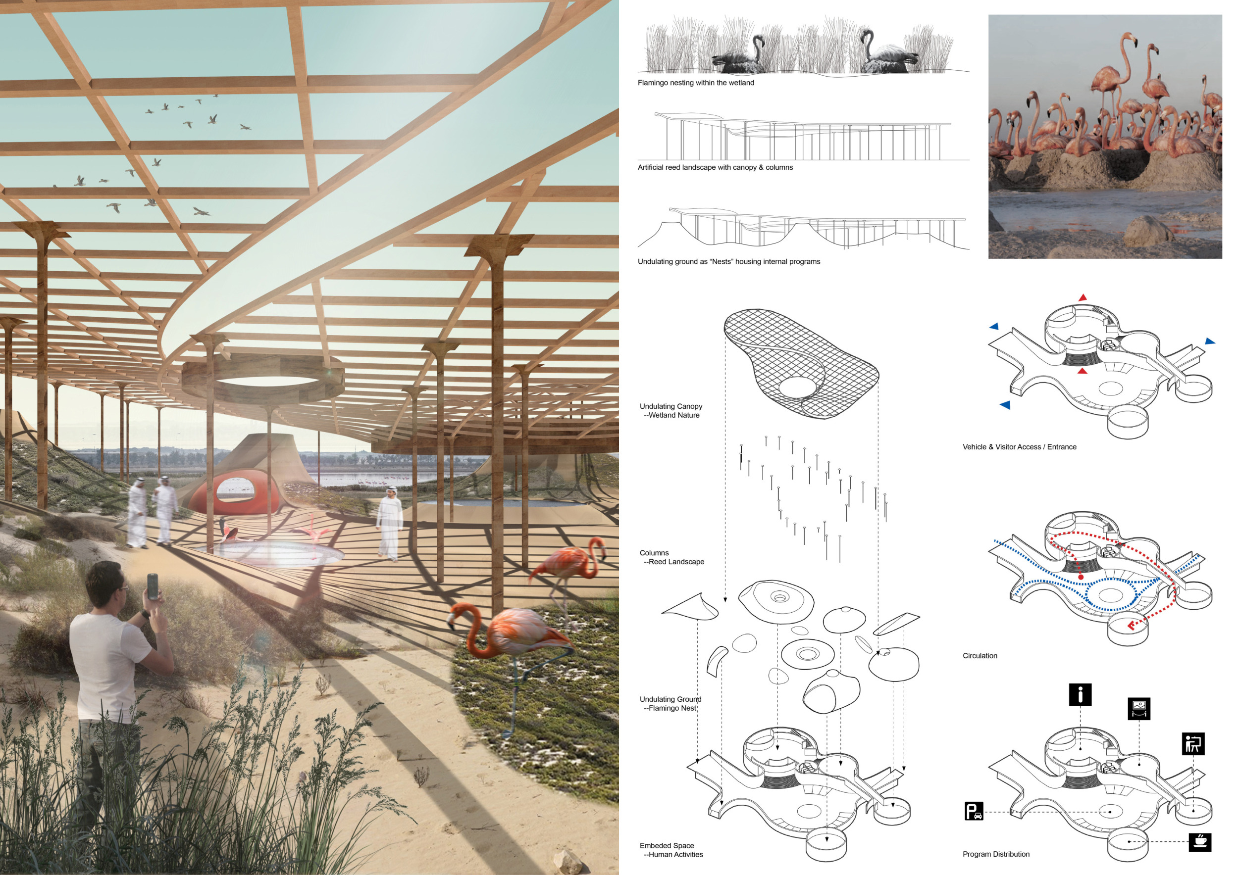 Architecture projects - wetland // Buildner