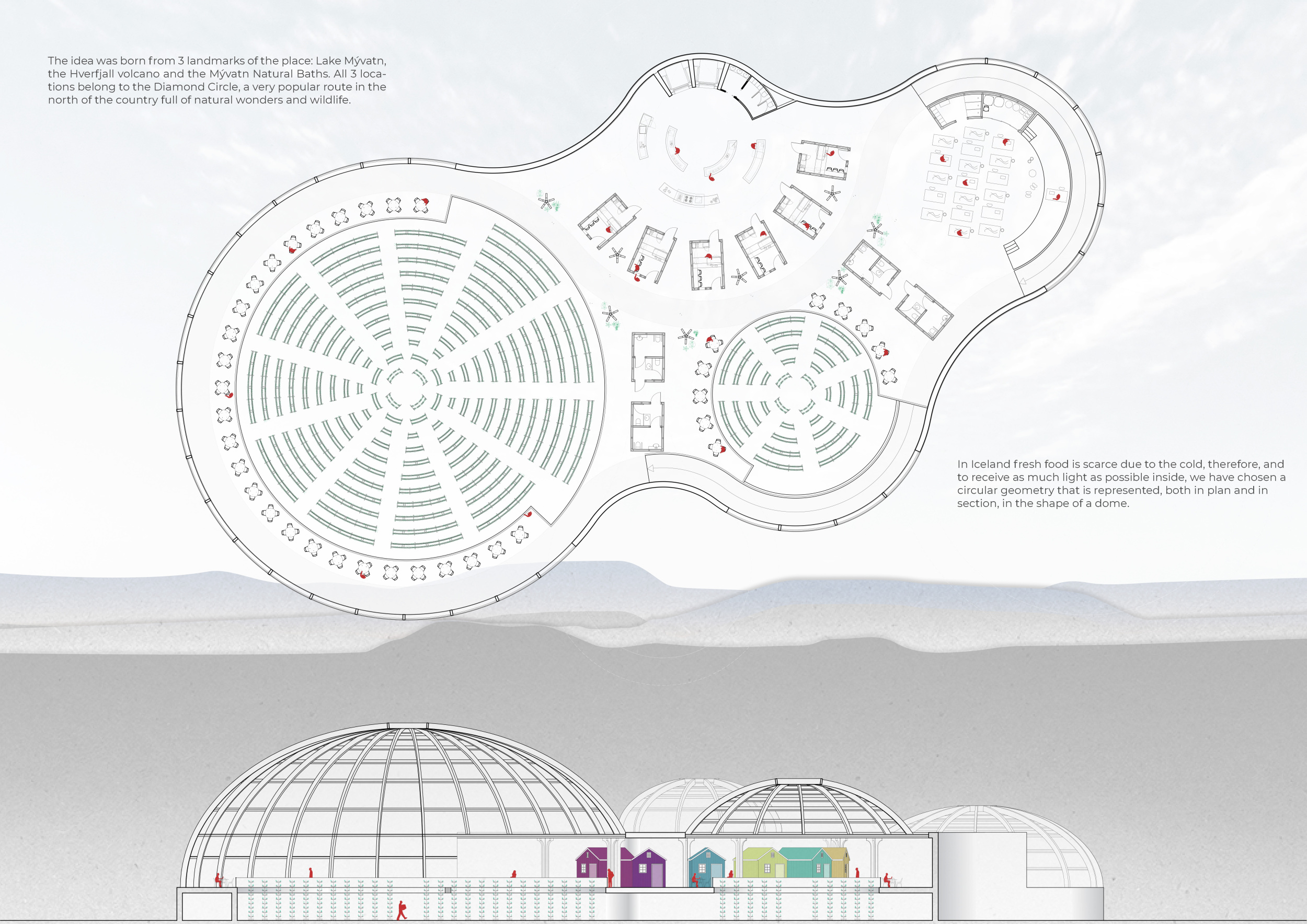 Architecture project // Circular Dome Emphasizing Local Wood Elements ...