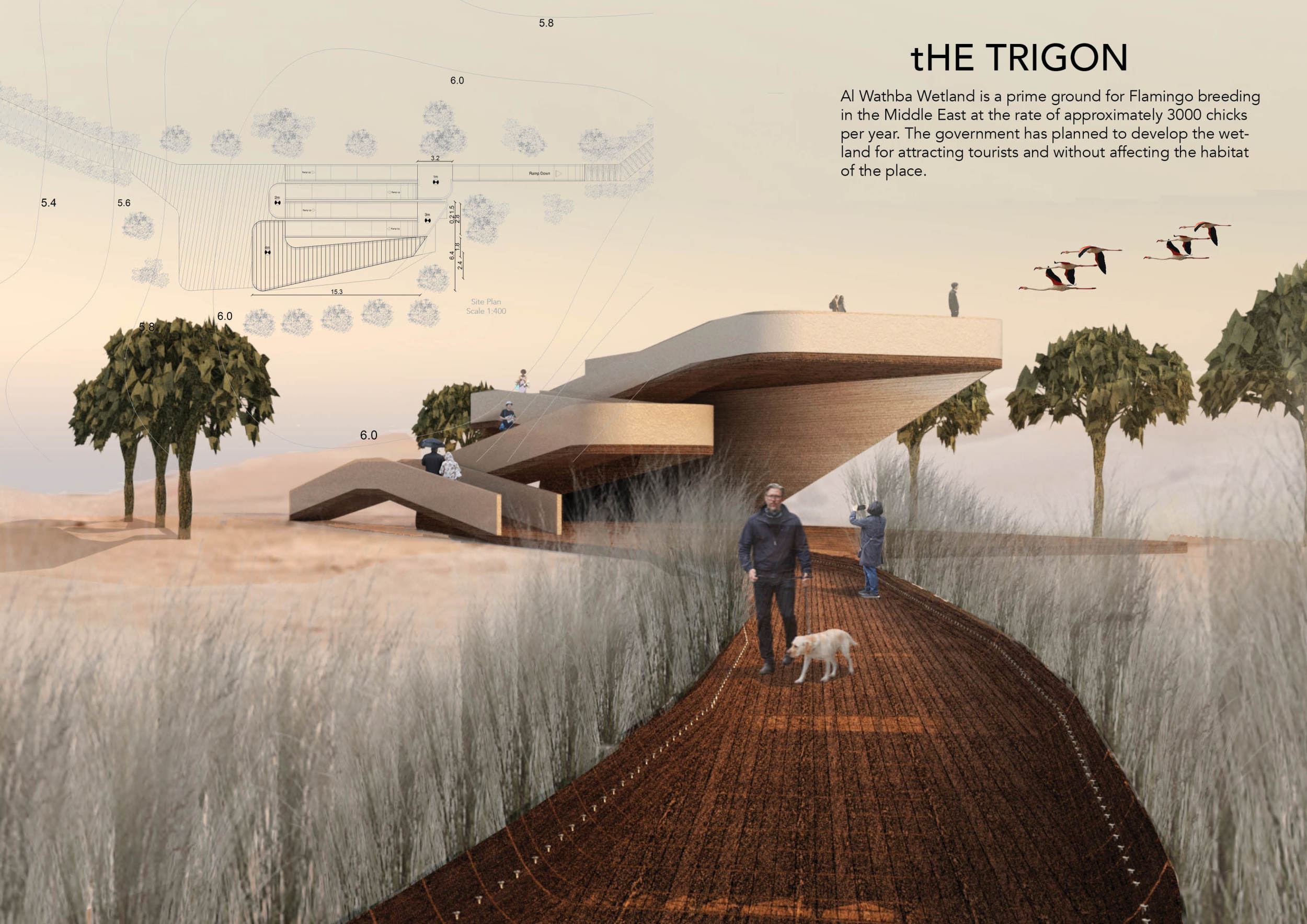 Architecture project // Natural Reeds and Cold Formed Steel Create a ...