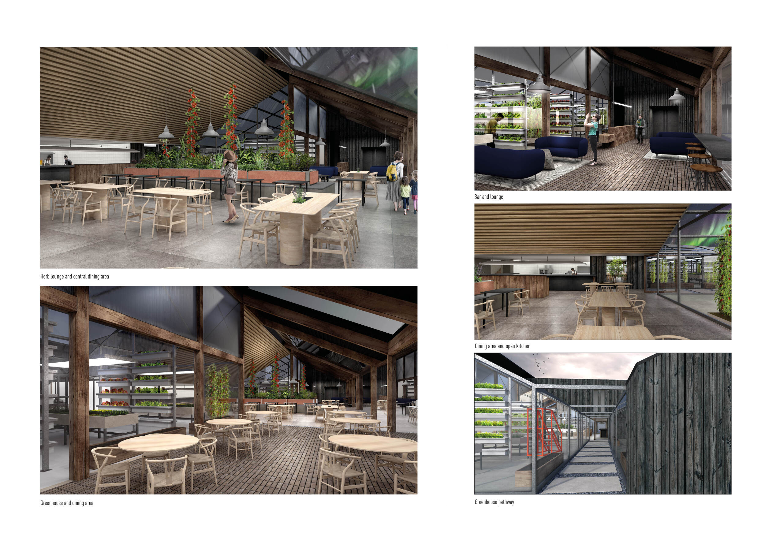 Architecture project // Charred Timber and Green Spaces Integrating ...