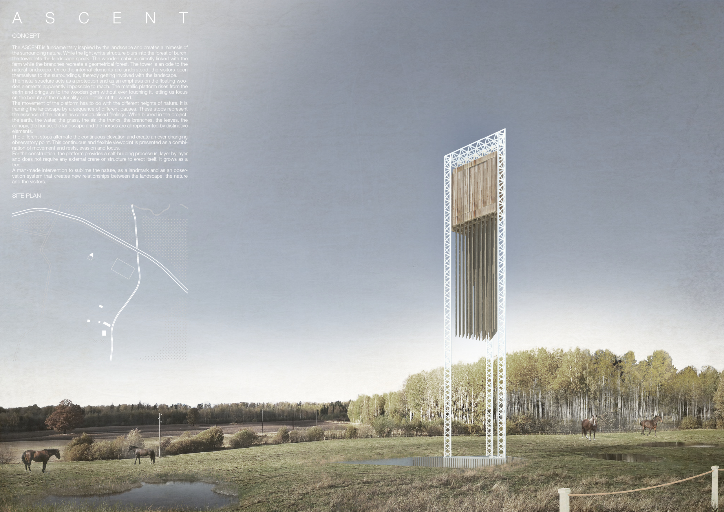 Architecture project // Metal Platform Elevates Birch Cabin into the ...