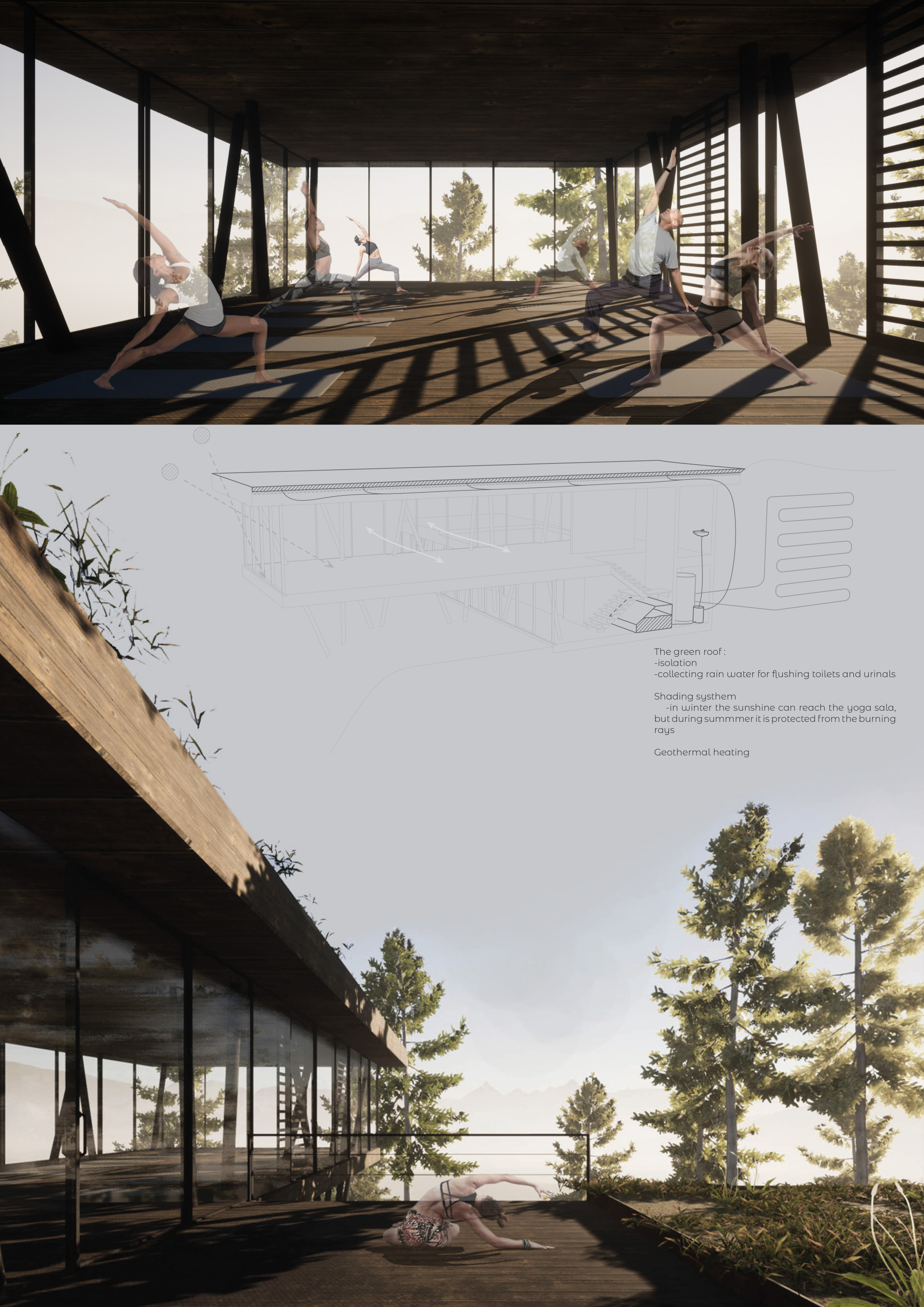 Picture of Architecture project // Elevated Yoga Space with Green Roof and Natural ...