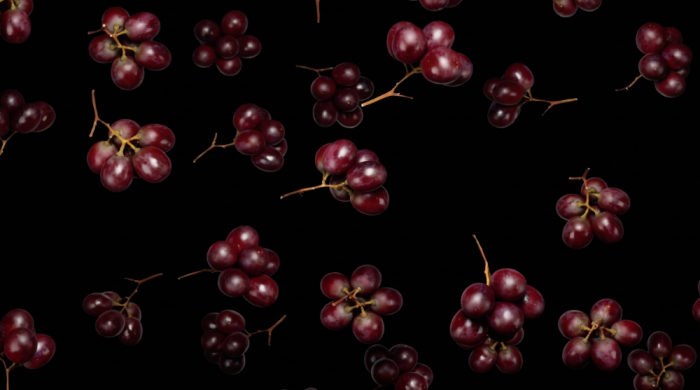 Valli Wine Tasting Room – Design a wine tasting room in Italy