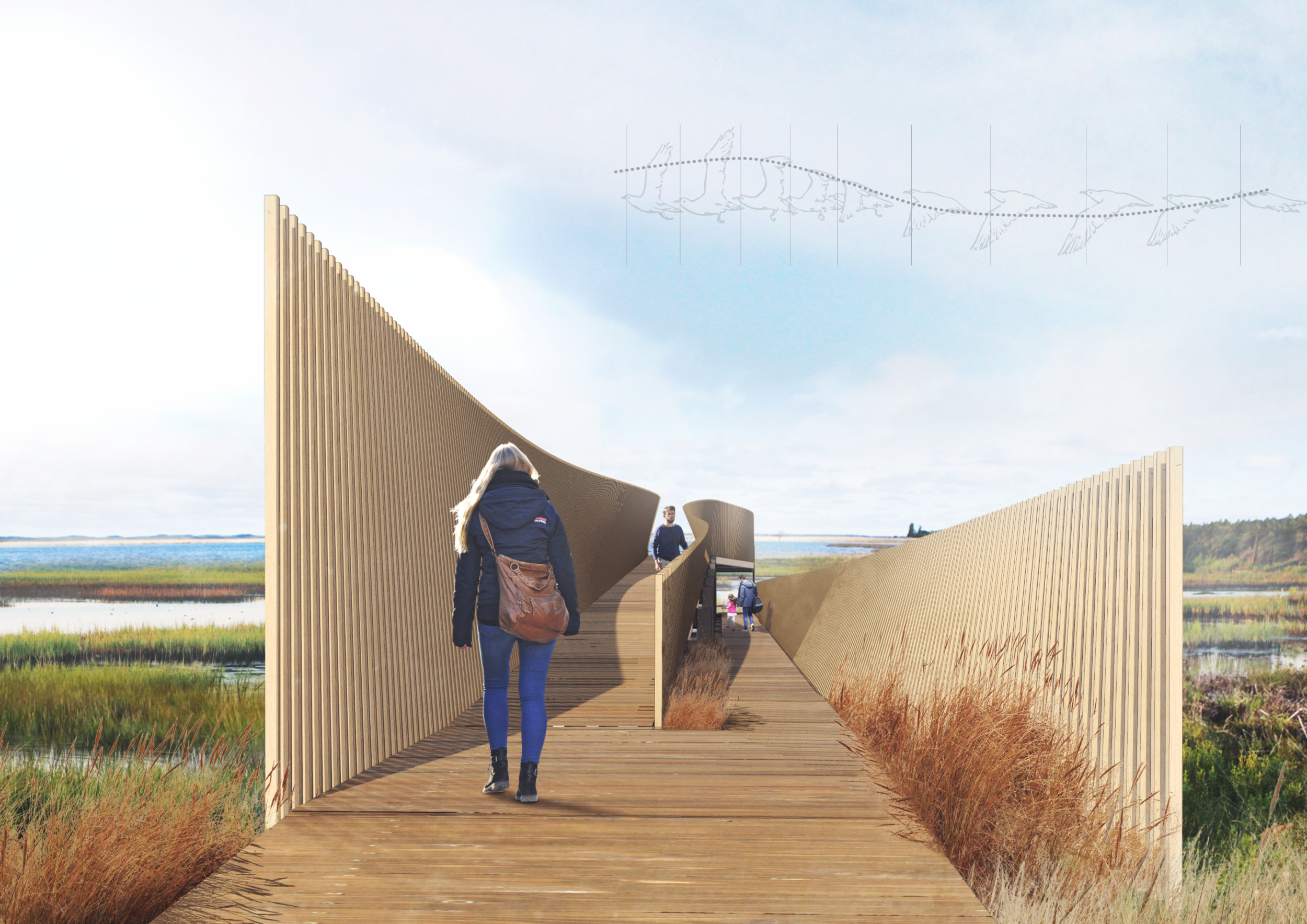 Marsh Management Project Architecture projects - marsh ecosystem // Buildner