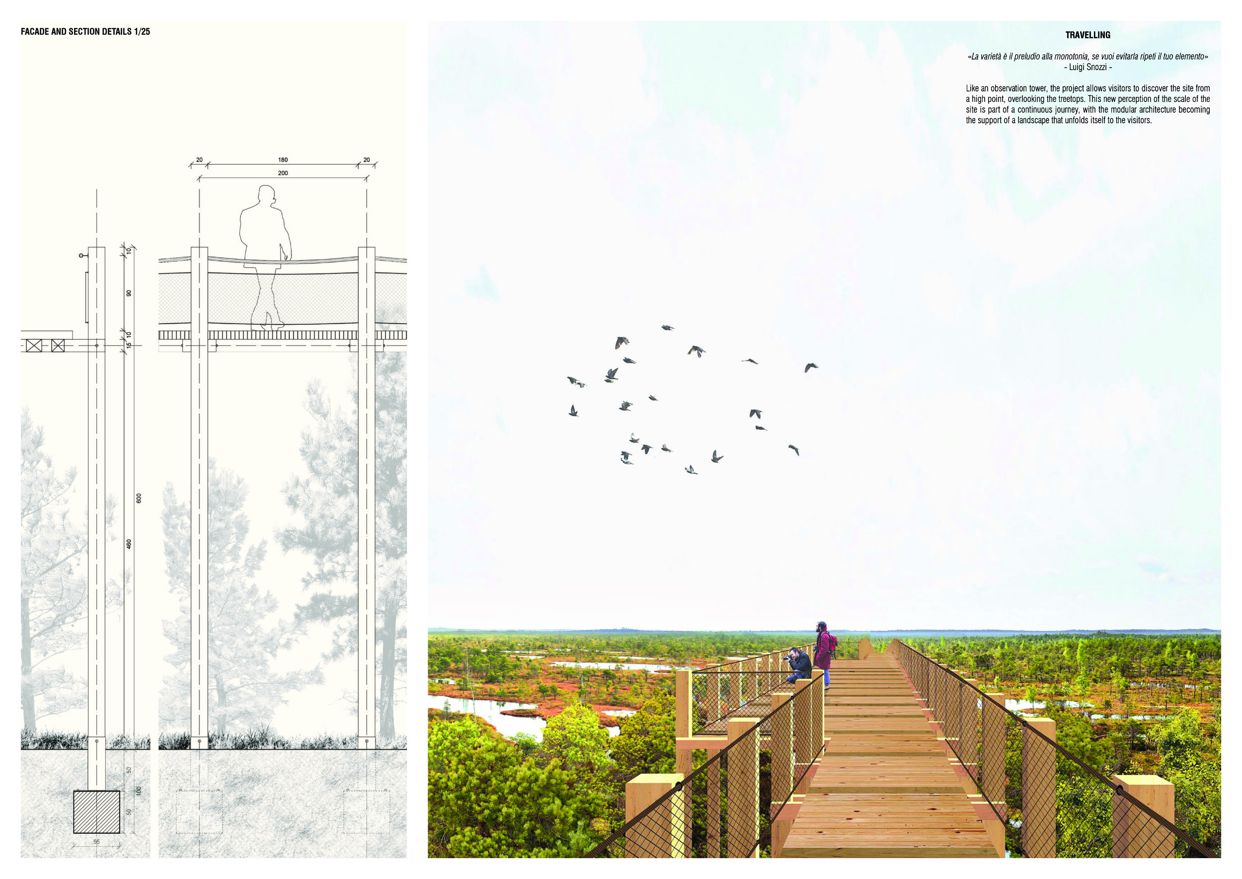 Architecture project // Elevated Wetland Pathways Constructed with ...