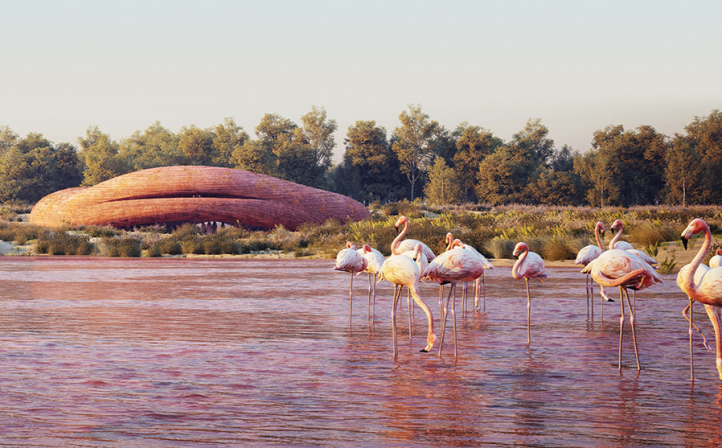 Abu Dhabi Flamingo
Visitor Center