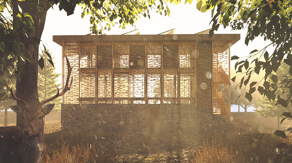 TMGH 3rd prize winners