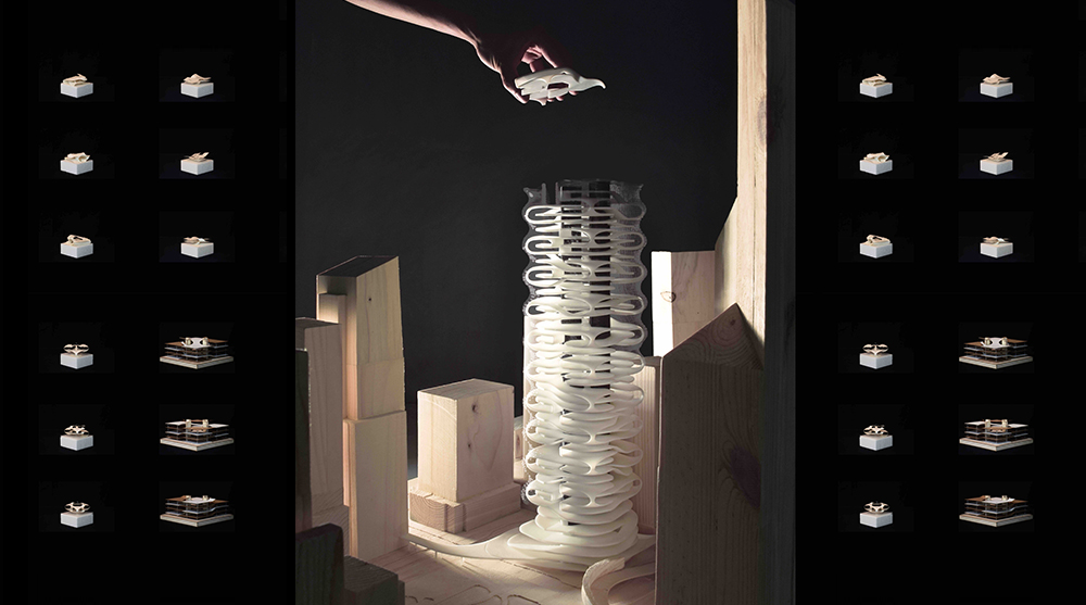 SKYHIVE 2019 1st prize winners