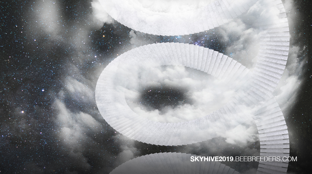 SKYHIVE 2019 Skyscraper Challenge